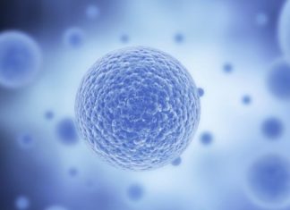 Study: Innovation massively expands view into workings of single cells Study: Innovation massively expands view into workings of single cells