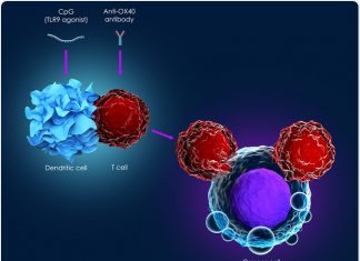 Study: New cancer findings can give wider access to immunotherapy Study: New cancer findings can give wider access to immunotherapy