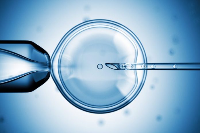 Study: Patients paying for unproven IVF add-on treatments