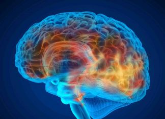 Study: Structures discovered in brain cancer patients can help fight tumors Study: Structures discovered in brain cancer patients can help fight tumors