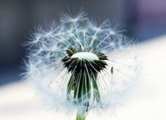 Study: Understanding frailty will lead to better care for older adults Study: Understanding frailty will lead to better care for older adults