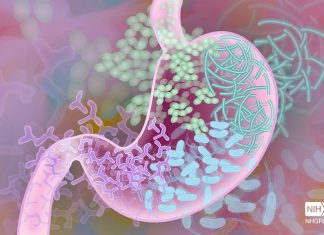 PLOS: Fasting may help ward off infections, study in mice suggests PLOS: Fasting may help ward off infections, study in mice suggests