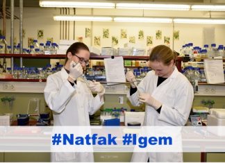 Research: Fighting bowel cancer with proteins Research: Fighting bowel cancer with proteins