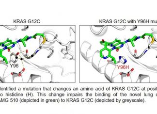 Study: Hunting down the mutations that cause cancer drug resistance Study: Hunting down the mutations that cause cancer drug resistance