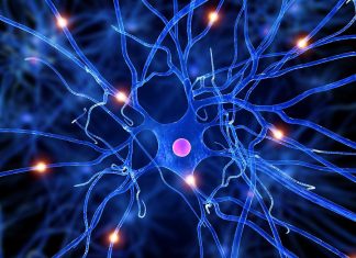 Study reveals how subtle changes in a microRNA may lead to ALS Study reveals how subtle changes in a microRNA may lead to ALS