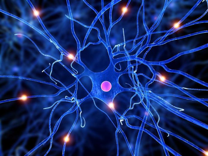 Study reveals how subtle changes in a microRNA may lead to ALS