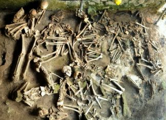 Study shows men and women of Roman Herculaneum had different diets Study shows men and women of Roman Herculaneum had different diets