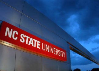 Study: ‘Frameshifting’ Therapy for Mast Cell Cancers Reduces Size, Spread Study: ‘Frameshifting’ Therapy for Mast Cell Cancers Reduces Size, Spread