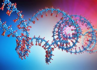 The future of medicine is nearer thanks to scientists’ invention The future of medicine is nearer thanks to scientists’ invention