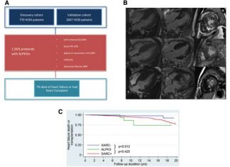 Cardiology: Gene causing inherited heart condition identified Cardiology: Gene causing inherited heart condition identified