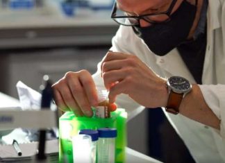 In a gene tied to growth, researchers see glimmers of human history In a gene tied to growth, researchers see glimmers of human history