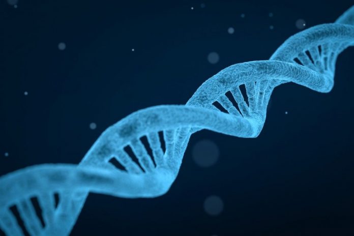 Scientists engineer a mini CRISPR system that could be easier to deliver into cells