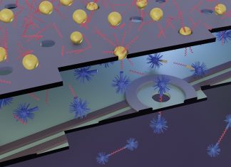 Smaller is better for detecting biomarkers of trauma and cancer, says study Smaller is better for detecting biomarkers of trauma and cancer, says study