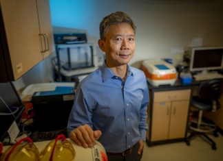 Study: Can cocoa consumption help us age better? Study: Can cocoa consumption help us age better?