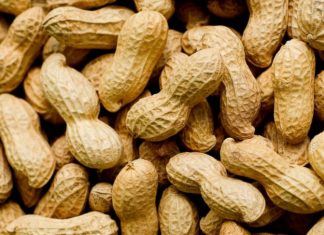 Study: Eating peanuts may lower risk of ischemic stroke, cardiovascular disease among Asians Study: Eating peanuts may lower risk of ischemic stroke, cardiovascular disease among Asians