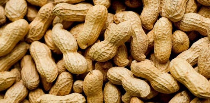 Study: Eating peanuts may lower risk of ischemic stroke, cardiovascular disease among Asians