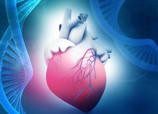 Study: New cause of inherited heart condition discovered Study: New cause of inherited heart condition discovered