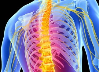 Study: Phase 2 Trial of MT-3921 initiated for treatment of spinal cord injury Study: Phase 2 Trial of MT-3921 initiated for treatment of spinal cord injury