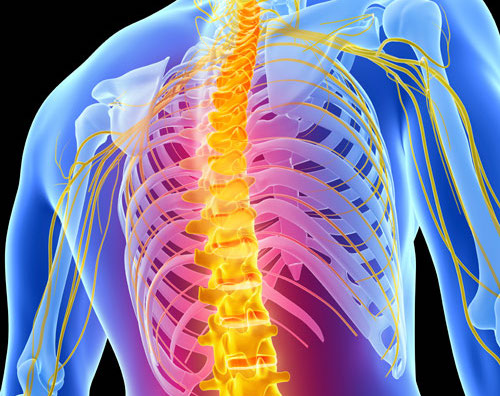 Study: Phase 2 Trial of MT-3921 initiated for treatment of spinal cord injury