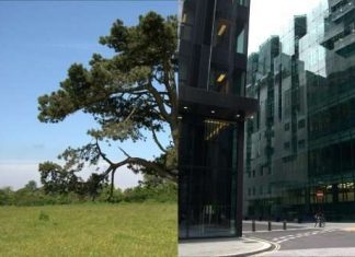 Surroundings affect rhythm of an individual’s walk, says study Surroundings affect rhythm of an individual’s walk, says study