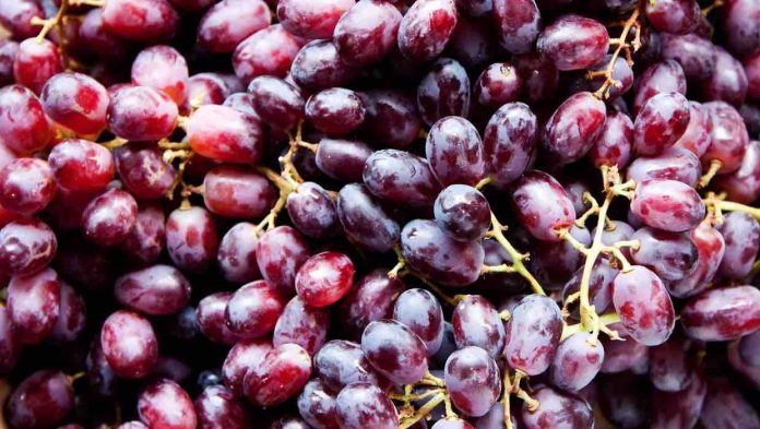 Drinking wine and eating grapes and peanuts may help prevent memory loss