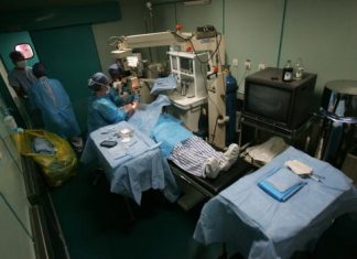 Gene therapy gives sight back to those facing total blindness Gene therapy gives sight back to those facing total blindness