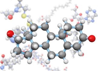 Research shows testosterone linked with multi-partnerships in men, but with solo sex in women Research shows testosterone linked with multi-partnerships in men, but with solo sex in women