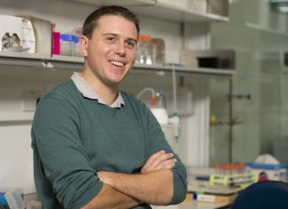 Researchers uncover a circadian rhythm in heart cells that affects their daily function Researchers uncover a circadian rhythm in heart cells that affects their daily function