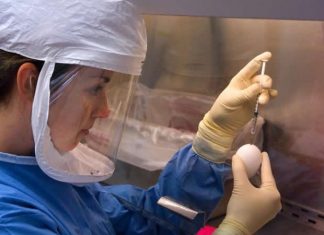 Sense of purpose associated with better memory, says study Sense of purpose associated with better memory, says study