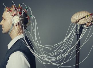 Study: A 3D multifunctional and flexible neural interface Study: A 3D multifunctional and flexible neural interface