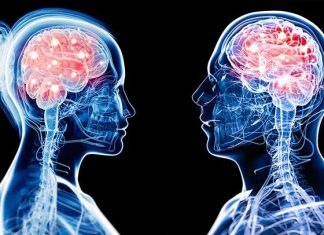 Study: Men and women experience brain injuries differently Study: Men and women experience brain injuries differently