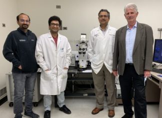 Study: Possible Link Found Between Herpes Simplex Virus and Neurodegenerative Diseases Study: Possible Link Found Between Herpes Simplex Virus and Neurodegenerative Diseases