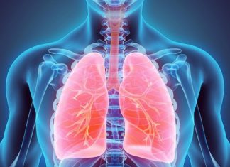 Cystic fibrosis study shows bacterial evolution for the first time Cystic fibrosis study shows bacterial evolution for the first time