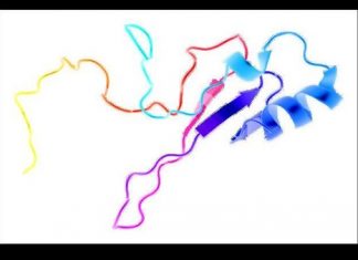 Genetic malfunction in peripheral nerves may be the cause of autism Genetic malfunction in peripheral nerves may be the cause of autism
