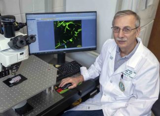 Research examines outcomes of plug-based and suture-based vascular closure following TAVR procedures Research examines outcomes of plug-based and suture-based vascular closure following TAVR procedures