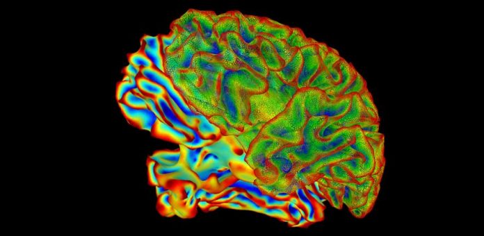 Researchers identify the cause of Alzheimer’s progression in the brain