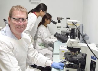 Scientists find new target to combat lung disease Scientists find new target to combat lung disease