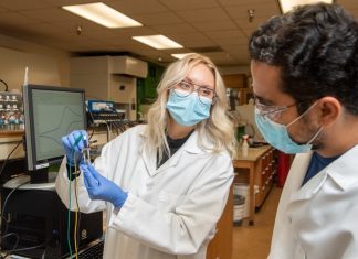 Study: Test determines antibiotic resistance in less than 90 minutes Study: Test determines antibiotic resistance in less than 90 minutes