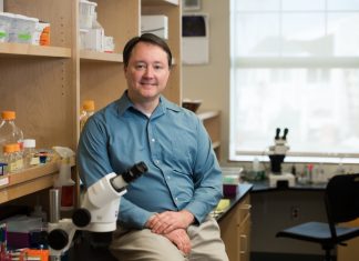 Study at MDI Biological Laboratory sheds new light on effects of dietary restriction Study at MDI Biological Laboratory sheds new light on effects of dietary restriction