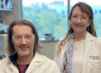 Study for safer pain relief advances with new compounds Study for safer pain relief advances with new compounds