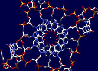 Discovery of four stranded DNA might be answer to better cancer treatment Discovery of four stranded DNA might be answer to better cancer treatment