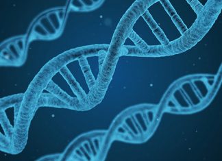 Research identifies gene variants linked to severe schizophrenia Research identifies gene variants linked to severe schizophrenia