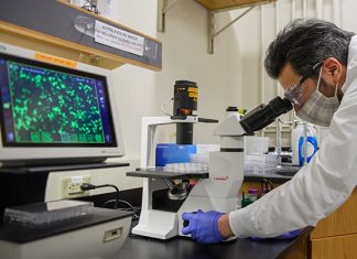 Scientists find surprising benefit to the immune system following infection Scientists find surprising benefit to the immune system following infection