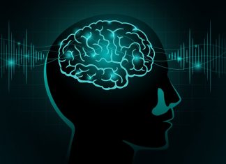 Scientists identify brain signals associated with OCD symptoms, paving way for adaptive treatment Scientists identify brain signals associated with OCD symptoms, paving way for adaptive treatment