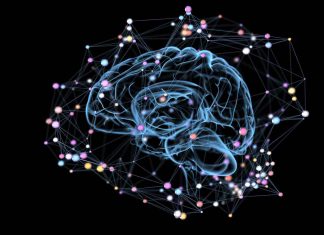 Scientists use AI to successfully detect signs of anxiety Scientists use AI to successfully detect signs of anxiety