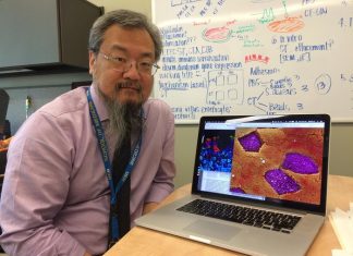 Study: A more targeted therapy to treat inflammatory bowel disease Study: A more targeted therapy to treat inflammatory bowel disease
