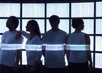 Study: A new way to find genetic variations removes bias from human genotyping Study: A new way to find genetic variations removes bias from human genotyping