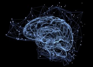 Study: Stopping dementia at the nose with combination of rifampicin and resveratrol Study: Stopping dementia at the nose with combination of rifampicin and resveratrol