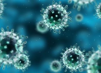 Study could open up a new era of antiviral therapies Study could open up a new era of antiviral therapies