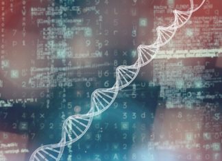 New research identifies biomarkers linked to autism risk New research identifies biomarkers linked to autism risk